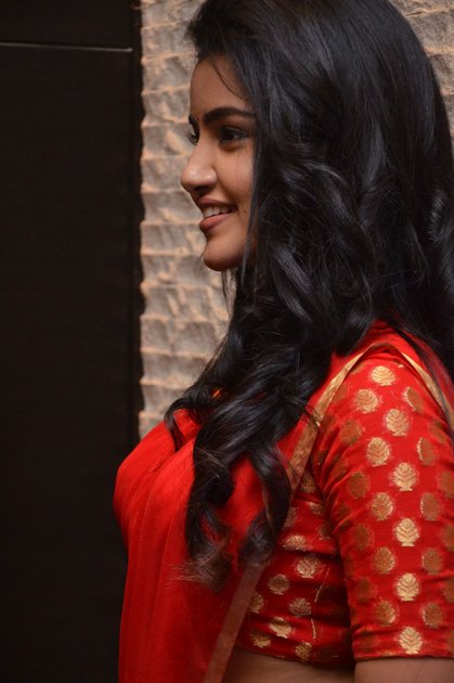 Anupama-Parameswaran-at-Shatamanam-Bhavati-Movie-Success-Meet